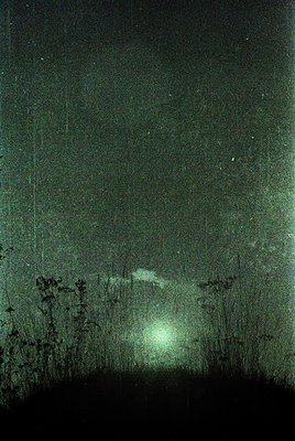 Vintage monochrome photograph of a moonlit landscape with dense reeds and a faintly visible horizon. Greenish tint suggests v...