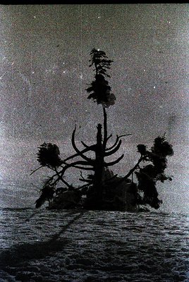 Silhouetted tree stump with antlers rising from shallow water under a starry night sky. Dramatic monochrome contrast highligh...