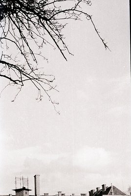 Barren tree branches frame a muted urban skyline under overcast skies. Industrial chimneys and rooftops suggest a mid-20th-ce...
