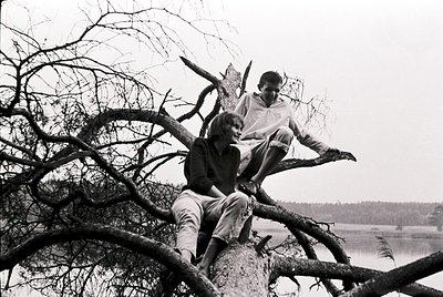 Black-and-white photo of two individuals perched on a tree branch overlooking a body of water, likely a lake or coastal inlet...
