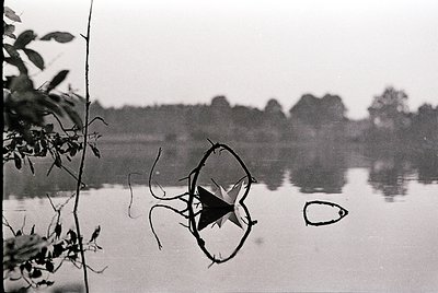 Black-and-white reflection of a broken glass bottle and a wooden plank on calm water, framed by foliage. Likely mid-20th cent...