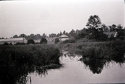 Mid-20th century rural landscape featuring a shallow wetland with reeds and water reflections. Low-lying buildings and dense ...