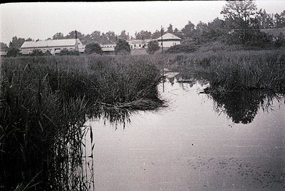 Black-and-white rural landscape featuring a shallow wetland with reeds in foreground. Distant buildings—likely agricultural o...