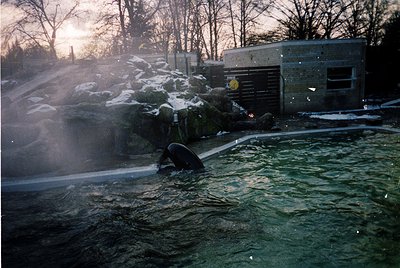 Cold War-era soldier in camouflage wades through muddy water, likely during training or exercise. Snow-covered terrain and wo...