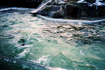 Close-up of cascading water over a concrete ledge, creating dynamic ripples and mist. The texture and motion evoke a serene y...
