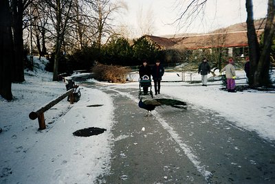 Winter scene featuring a snow-covered pathway with two adults pushing a stroller and a child in winter clothing. Snow melts r...