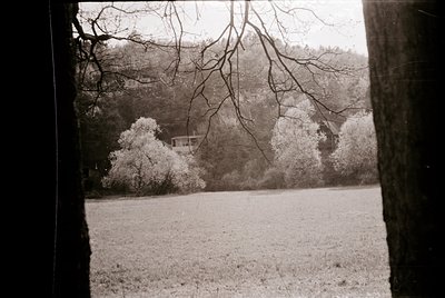 Vintage black-and-white shot of a snow-covered landscape framed by tree branches. A small, partially obscured cabin nestled a...
