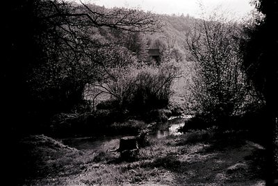 Black-and-white rural landscape featuring a shallow stream winding through dense foliage. A stone bridge or barrier spans the...