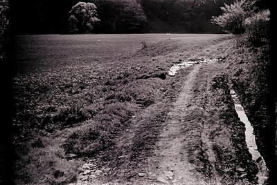 Vintage black-and-white rural landscape featuring a narrow, overgrown dirt path winding through an open field. The path is bo...