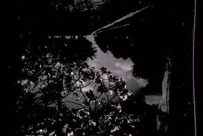 Vintage black-and-white aerial view of a river winding through dense foliage, likely captured via early film photography. The...