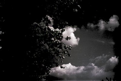 High-contrast black-and-white shot of a lone tree silhouette against storm clouds, capturing dramatic sky texture. Silhouette...