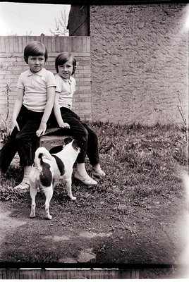 Two boys in 1970s-style short-sleeved shirts and pants pose with a black-and-white Border Collie mix on a grassy patch beside...