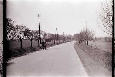 A lone figure walks a tree-lined rural road in early 20th-century attire, flanked by leafless trees and utility poles. The pa...