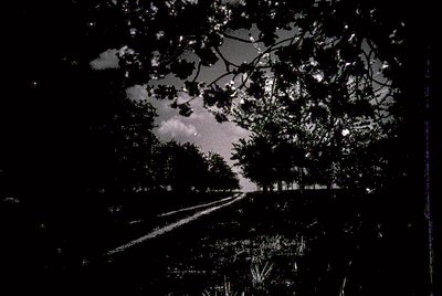 High-contrast black-and-white shot of a winding rural road at dusk, flanked by dense forest. Lighting emphasizes silhouetted ...