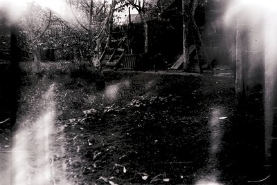 Vintage black-and-white photo of a rural backyard with dense foliage and a wooden swing set. Sunlight filters through leaves,...