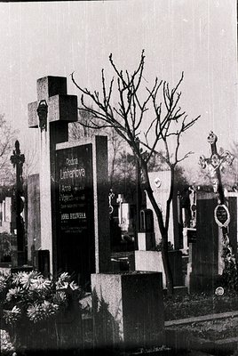 Monumental gravestone in a cemetery with Cyrillic inscriptions, likely Bulgarian. Minimalist design with a cross atop. Leafle...