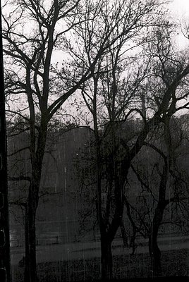 Monochrome urban landscape featuring stark concrete wall with vertical cracks, framed by leafless trees. Overcast sky enhance...