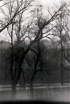 Vintage black-and-white photograph of a misty forest scene with bare trees and a reflective water surface, likely taken in au...