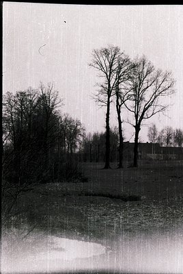 Vintage black-and-white photo of a serene, reflective pond surrounded by leafless trees and distant buildings. Light filterin...