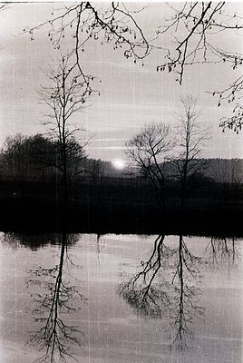 Symmetrical reflection of bare trees in calm water, framed by misty horizon. Classic black-and-white composition with atmosph...