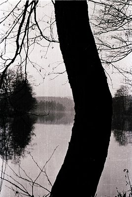 Vintage black-and-white shot of a leafless tree trunk framing a serene lake reflection. Textured paper grain suggests mid-20t...