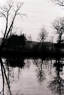 Black-and-white reflection of bare trees in a still lake, framed by misty forest edges. Symmetrical symmetry captures winter ...