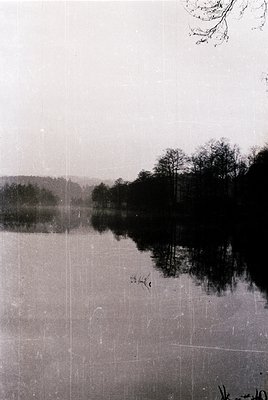 Vintage sepia-toned photograph of a serene lake reflecting dense forest foliage, likely mid-20th century. The still water and...