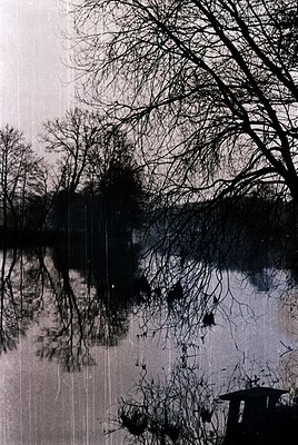 Black-and-white reflection of bare winter trees in calm water, framed by a wooden dock or pier. Symmetrical composition captu...