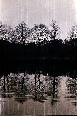 Black-and-white reflection of bare trees in calm water, framed by vertical rain streaks. Symmetrical composition captures sti...