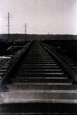 Black-and-white industrial shot of a single railway track converging into the distance, flanked by utility poles and forested...