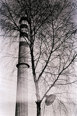 Vintage black-and-white shot of a tall, cylindrical **lighthouse** framed by leafless trees, likely winter or early spring. T...