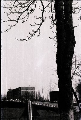 Mid-century brutalist concrete building with geometric windows, framed by bare winter trees and rain. Architectural detail su...