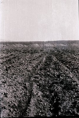 Vintage black-and-white aerial view of plowed agricultural fields with deep furrows, likely post-harvest. The horizon shows d...