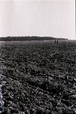Black-and-white agricultural scene showing three figures plowing a vast, open field with a horse-drawn plow. Dense forest lin...