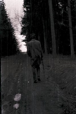 A lone figure in mid-stride on a narrow forest path, silhouetted against dappled sunlight filtering through dense conifers. T...