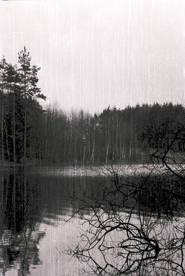 Black-and-white monochrome shot of a serene forest lake with rain-soaked trees and reflective water. Dense coniferous forest ...