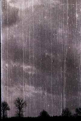 Black-and-white monochrome shot of heavy rain falling vertically, silhouetting dark tree branches at bottom. Grainy texture s...