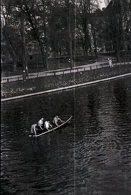 Black-and-white shot of three rowers paddling synchronously on a calm river, framed by a wooden walkway and dense forest. Mid...