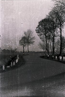Vintage sepia-toned street lined with leafless trees, likely early 20th century. Gravel road flanked by low stone markers, su...