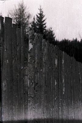 Vintage wooden fence with Cyrillic graffiti, likely Soviet-era script, set against a forested background. Vertical planks sho...