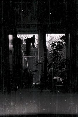 Silhouetted figures in a dimly lit interior, framed by rain-streaked windows. Two people—one standing, one seated—surrounded ...