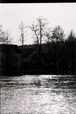 Black-and-white river scene with leafless trees framing a waterfront. Distant forest and low-lying buildings visible behind. ...
