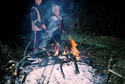 Two children roasting marshmallows over an open campfire at night, surrounded by forest foliage. Firelight illuminates their ...