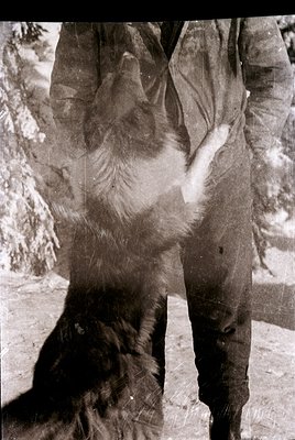 Vintage black-and-white photo of a polar bear’s lower body and paw, likely in captivity. Thick fur contrasts with rough concr...