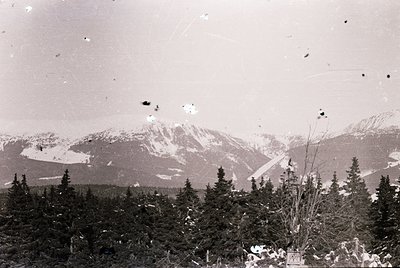 Vintage black-and-white alpine landscape with jagged peaks and sparse snow patches. Dense coniferous forest in foreground, li...