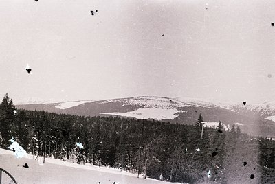 Vintage black-and-white alpine landscape featuring dense coniferous forest in foreground, leading to a snow-covered valley an...