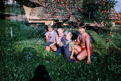 Vintage family portrait in a lush orchard, likely mid-20th century. Four children and an adult pose among green grass and app...