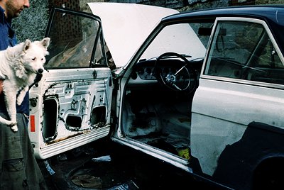 Vintage sedan interior exposed, showing rusted metal and missing components. White dog stands beside open driver’s door, whil...