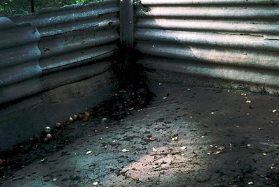 Corroded metal roofing with visible rust streaks and peeling paint, casting shadows on a wet, cracked concrete surface. Scatt...