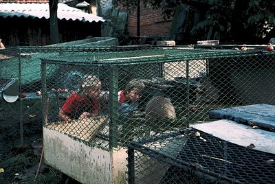 Two children rest inside a rusted, chain-link cage with a corrugated metal roof, surrounded by makeshift structures. Likely r...